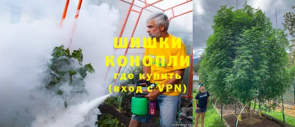 PSILOCYBIN Абинск