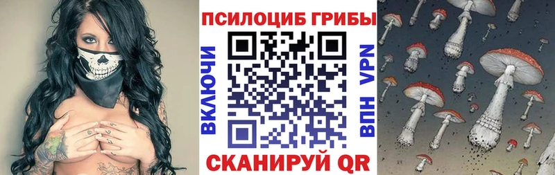 кракен сайт  Ак-Довурак  Псилоцибиновые грибы GOLDEN TEACHER 